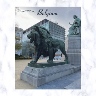 Lion Majestic à Bruxelles Belgique Carte postale