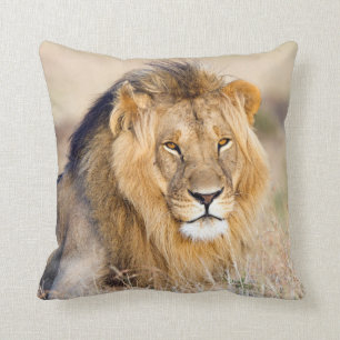 Lion majestueux en Afrique photo lumbar coussin