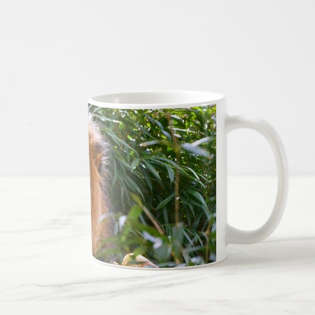 Lion masculin, roi de tasse de café de bêtes (Droite)