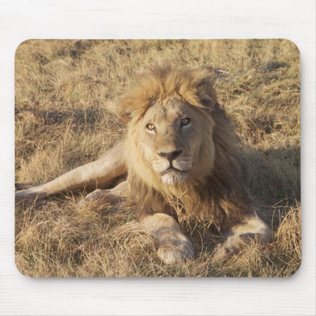 Lion Mouse Pad Mousepad (Vorne)