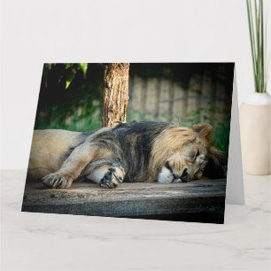 LION NICKERCHEN FUNNY BIRTHDAY CARD KARTE