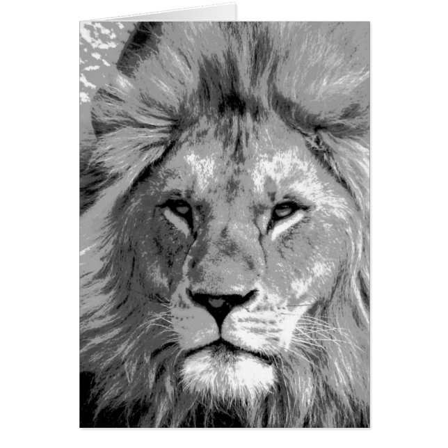 Lion noir blanc (Devant)