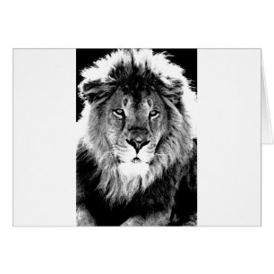 Lion noir et blanc