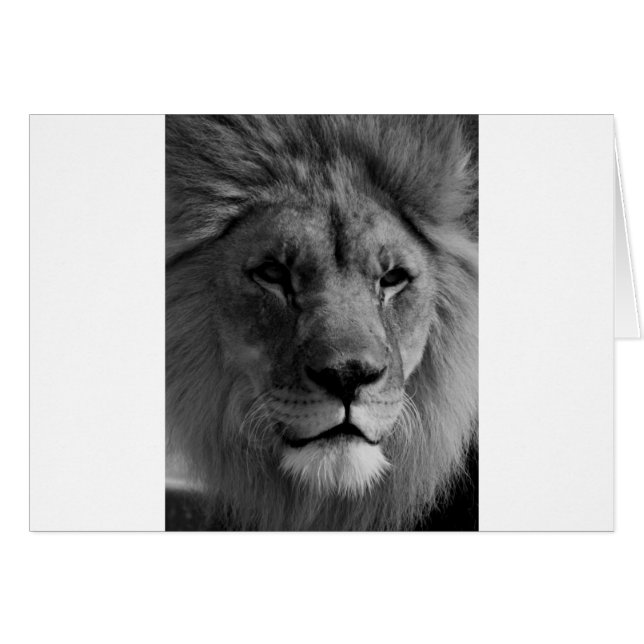 Lion noir et blanc (Devant horizontal)
