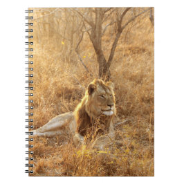 Lion-Notebook Notizblock