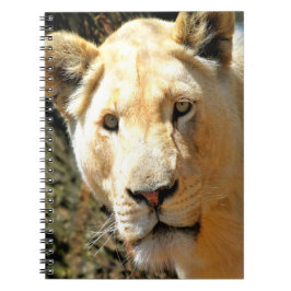 Lion Notizblock