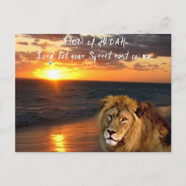 Lion of Judah Inspiration Postcard Postkarte (Vorderseite)