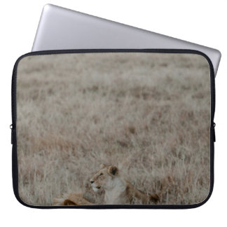 LION ON ON BROWN GRASS FIELD WÄHREND DES TAGES LAPTOPSCHUTZHÜLLE