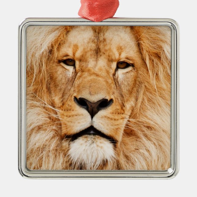 Lion Ornament Aus Metall (Vorne)