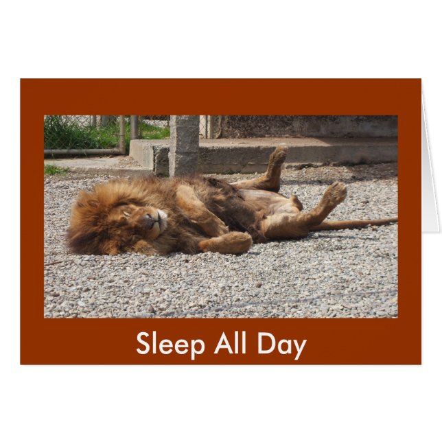 Lion paresseux (Devant horizontal)