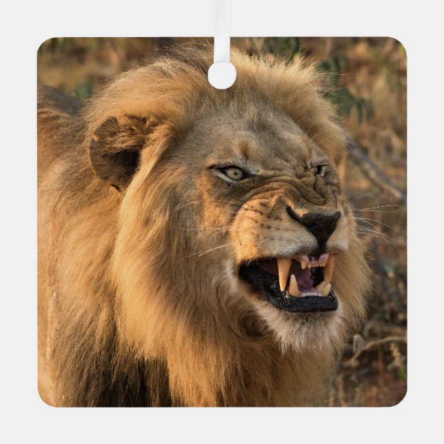 LION Personalize Name Foto Weihnachten Ornament Aus Metall (Vorderseite)