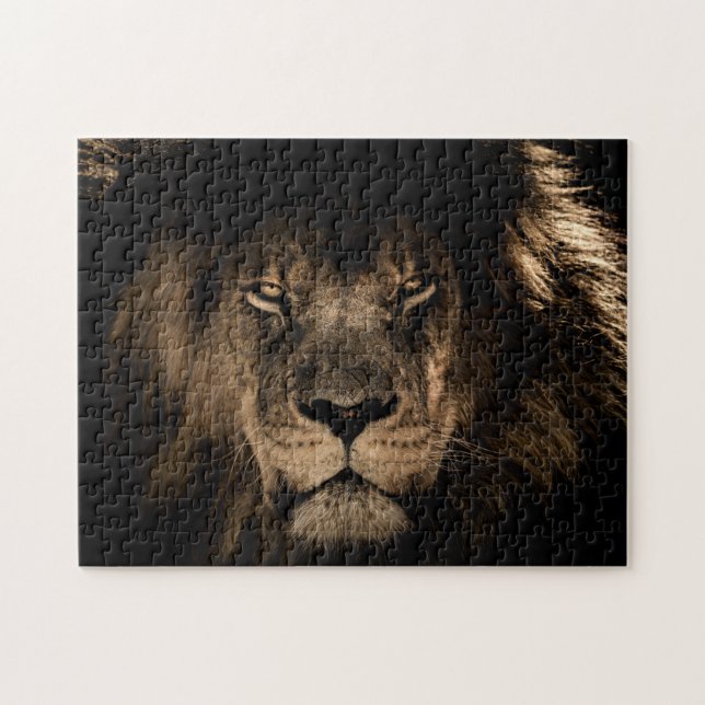 Lion Portrait (Horizontal)