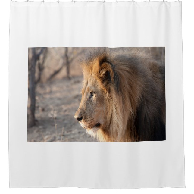 Lion Portrait Duschvorhang (Vorderseite)