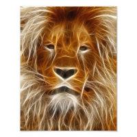 Lion Portrait