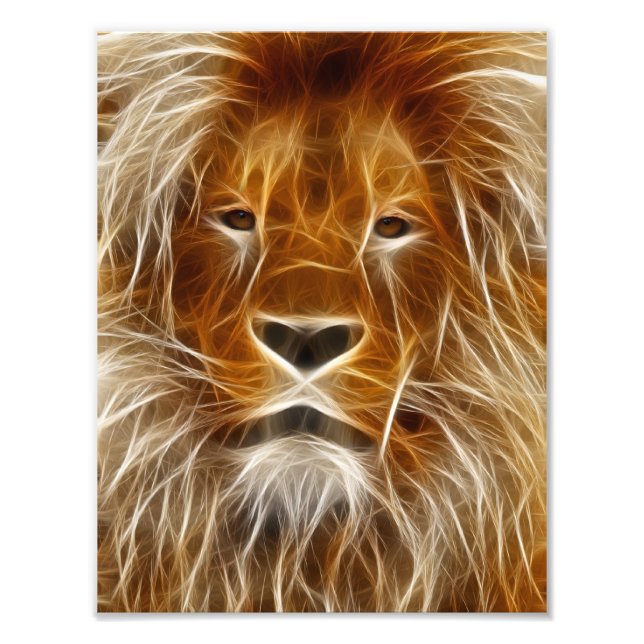 Lion Portrait Fotodruck (Vorne)