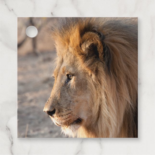 Lion Portrait Geschenkanhänger (Vorderseite)