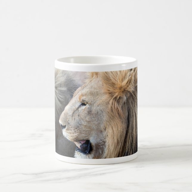Lion Portrait Kaffeetasse (Mittel)