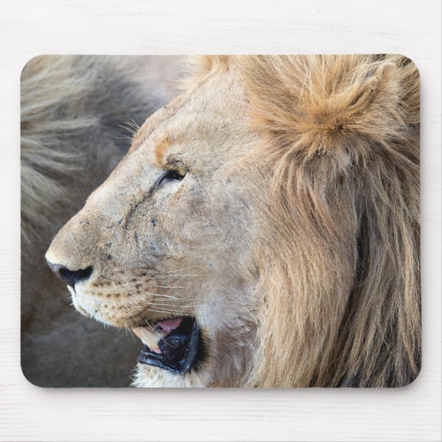 Lion Portrait Mousepad (Vorne)