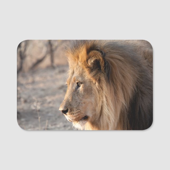Lion Portrait Namensschild (Vorderseite)