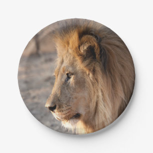 Lion Portrait Pappteller