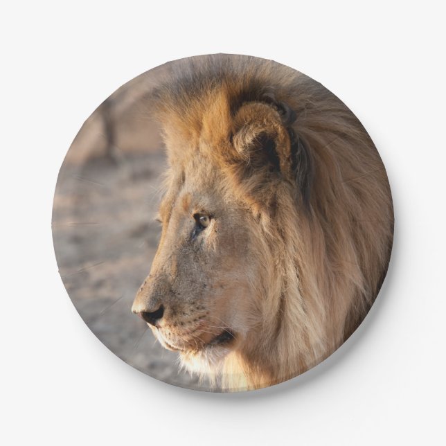Lion Portrait Pappteller (Vorderseite)