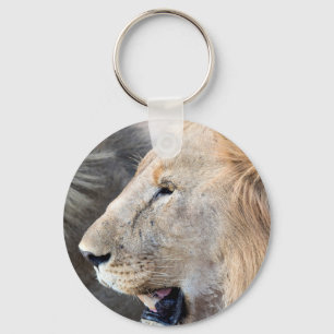 Lion Portrait Schlüsselanhänger