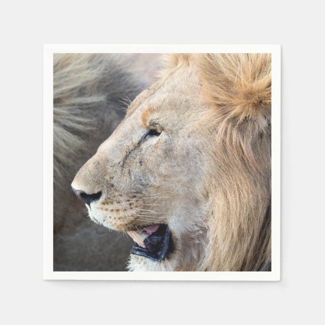 Lion Portrait Serviette (Vorderseite)