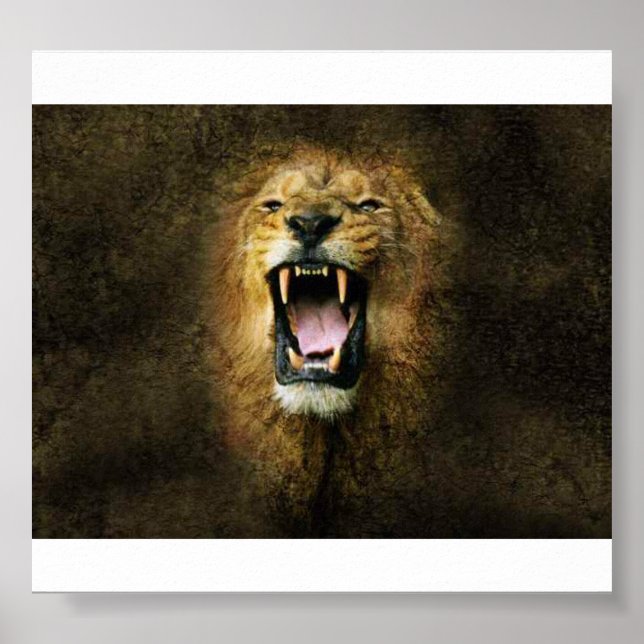 Lion Poster (Vorne)