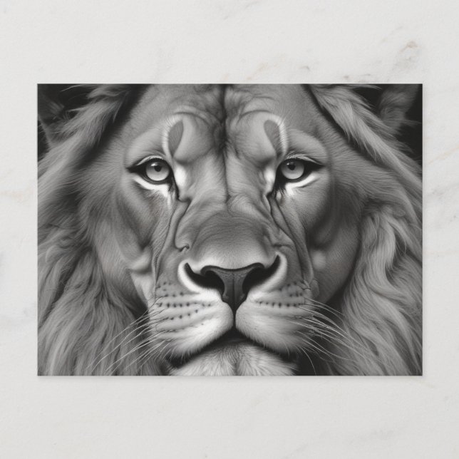 Lion Postkarte (Vorderseite)