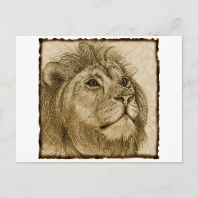 LION POSTKARTE (Vorderseite)
