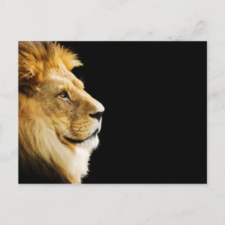 Lion Postkarte