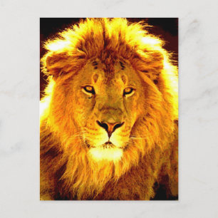 Lion Postkarte
