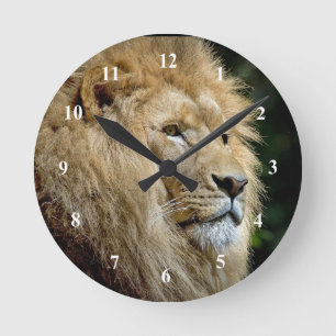 Lion Profile Wildlife Foto Runde Wanduhr