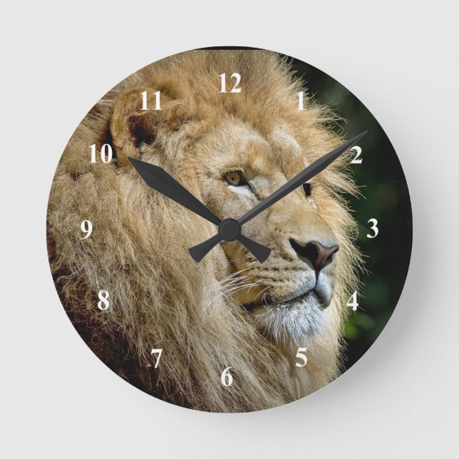 Lion Profile Wildlife Foto Runde Wanduhr (Vorderseite)