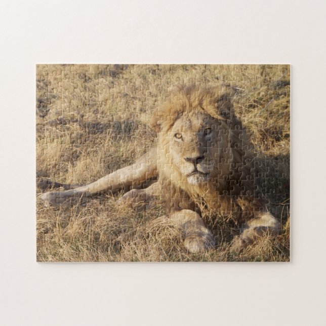 Lion Puzzle (Horizontal)