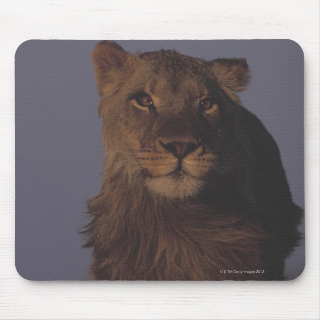 Lion Running Mousepad (Vorne)