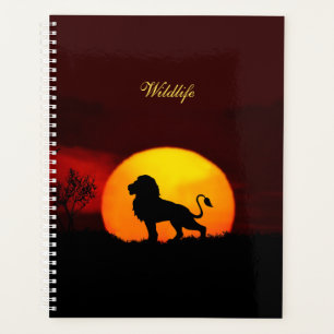 Lion sauvage, lever de soleil & calligraphie sur u