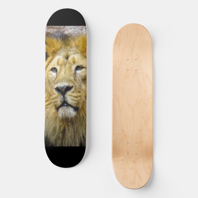 Lion Skateboard (Vorderseite)
