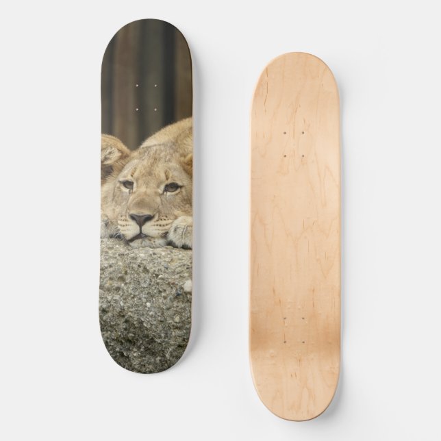 Lion Skateboard (Vorderseite)