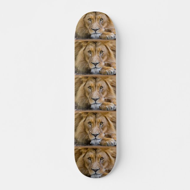 LION Skateboards (Vorne)