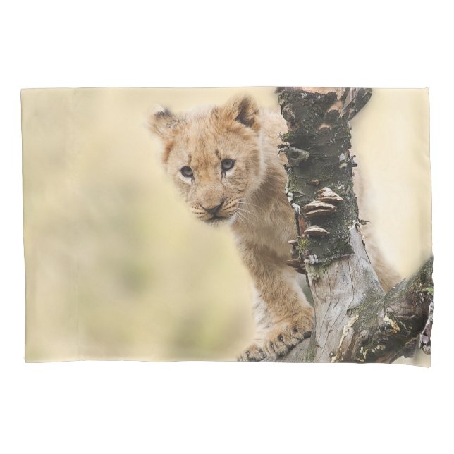 Lion Sleep Zuhause Personalize Destiny Destiny's Kissenbezug (Vorderseite)