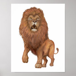 Lion Small Poster
