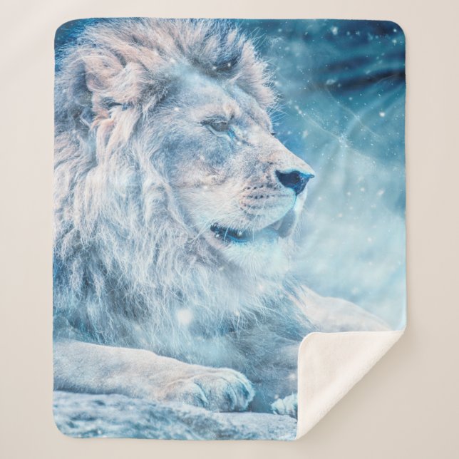 Lion snow lying down art animal sherpadecke (Vorderseite)