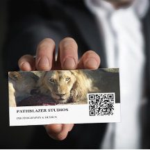 Lion Stare | Naturfotografie |