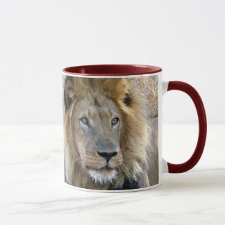 Lion Tasse