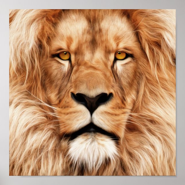 Lion The King Foto Malerei Poster (Vorne)