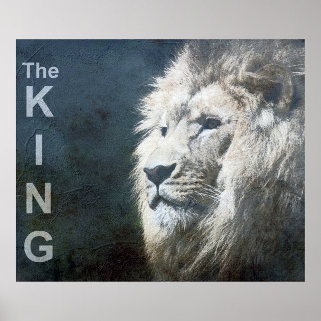 Lion Trendy Template Nature Animal Foto The King Poster (Vorne)