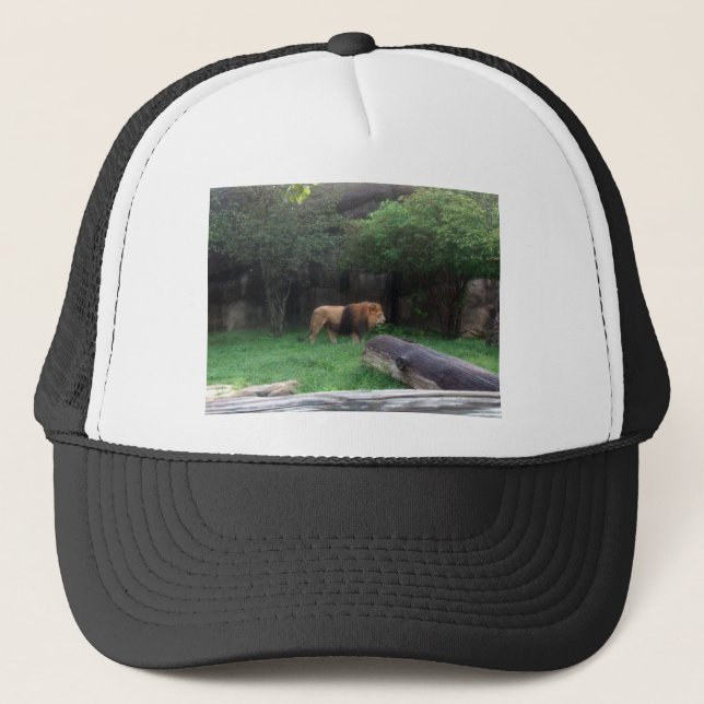 Lion Truckerkappe (Vorderseite)