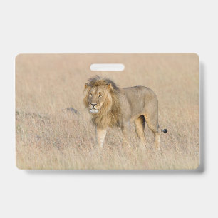 Lion Walking Ausweis