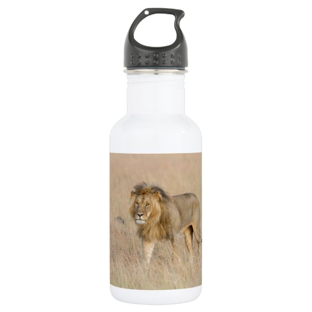 Lion Walking Edelstahlflasche (Vorderseite)